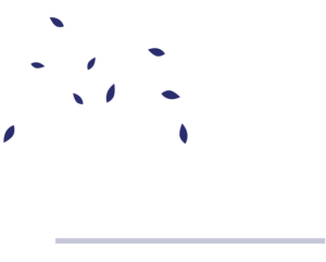 Housing Consumer Ed